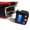 Electronic Timer BDSM Bondage Restraints